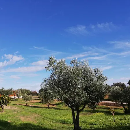 Burrico D'Orada - Lodging & Experiences Pedrogao  Exterior photo