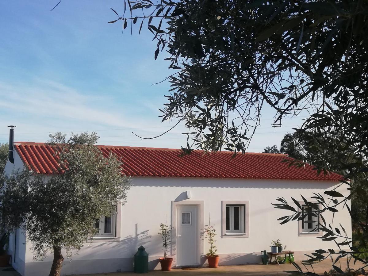 Burrico D'orada - & Experiences Hébergement de vacances *