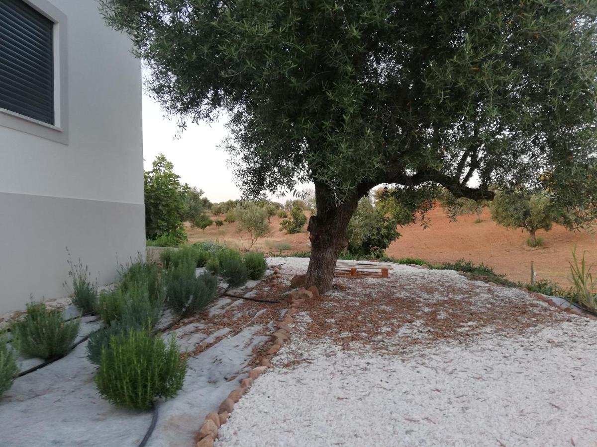 Burrico D'orada - & Experiences Hébergement de vacances *