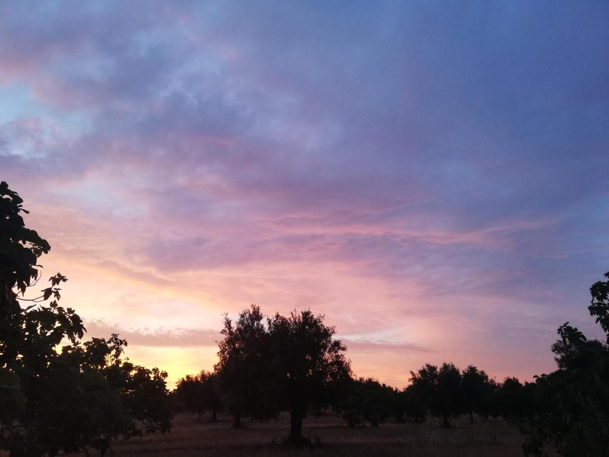 Burrico D'orada - & Experiences