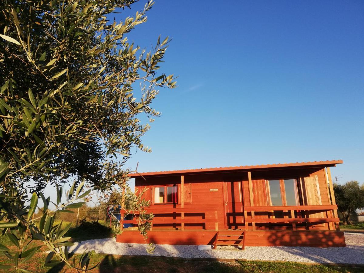 Burrico D'orada - & Experiences * Pedrogao (Baixo Alentejo)