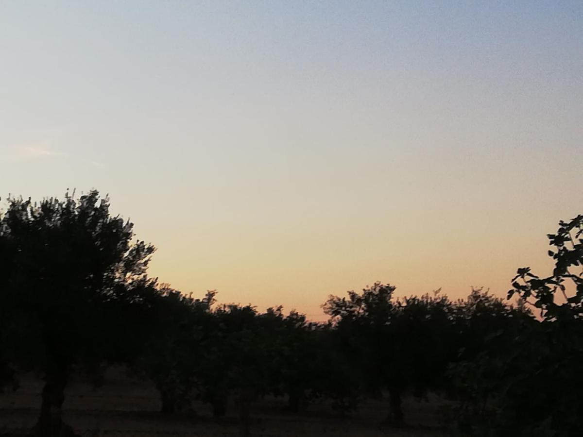 Burrico D'orada - & Experiences *