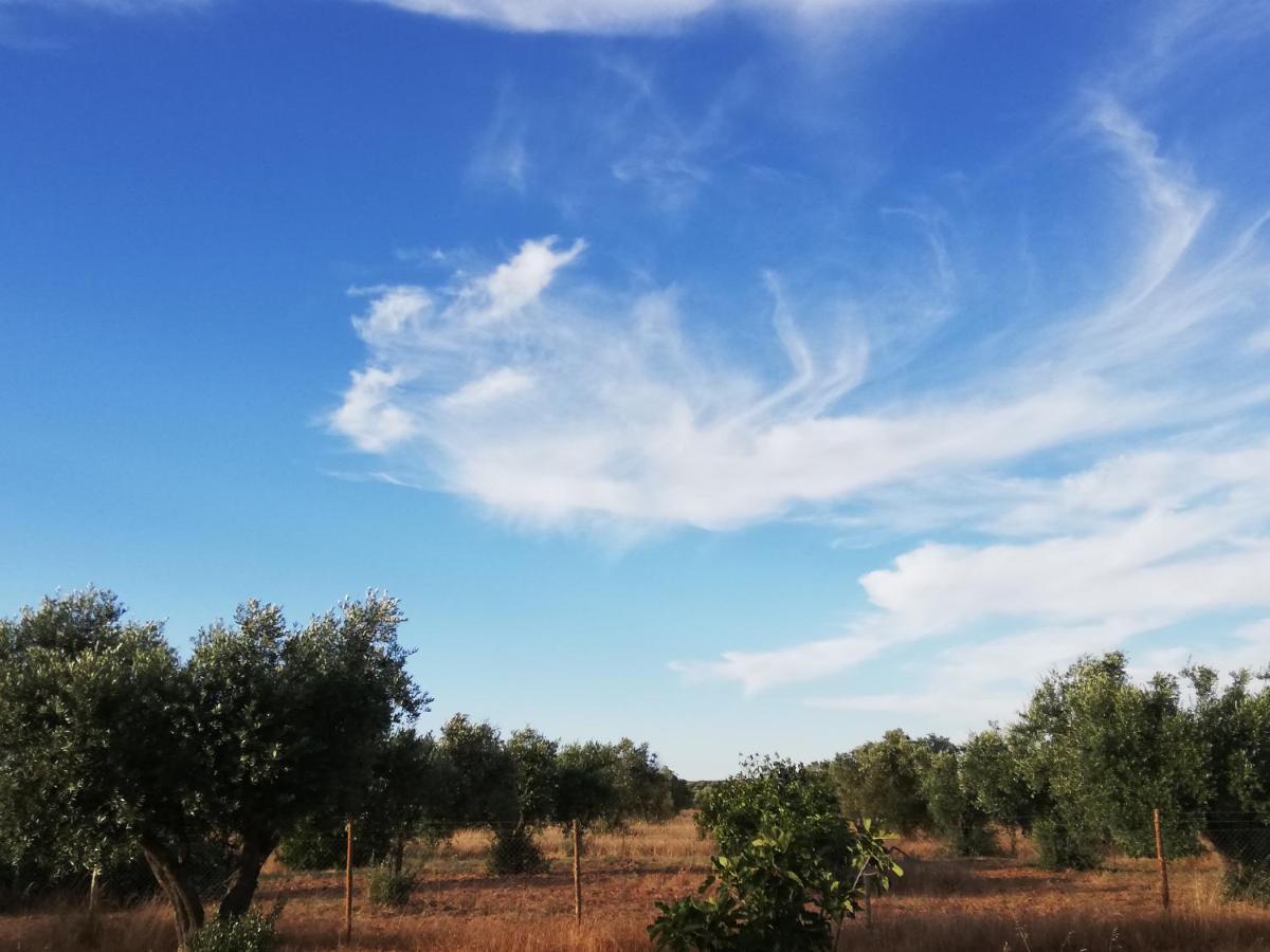 Hébergement de vacances Burrico D'orada - & Experiences Pedrogao (Baixo Alentejo)