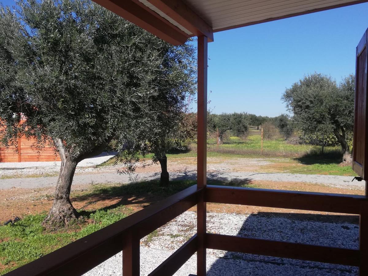 Burrico D'orada - & Experiences Hébergement de vacances Pedrogao (Baixo Alentejo)