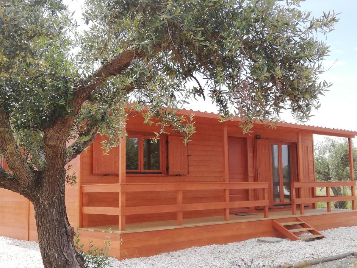 Burrico D'orada - & Experiences