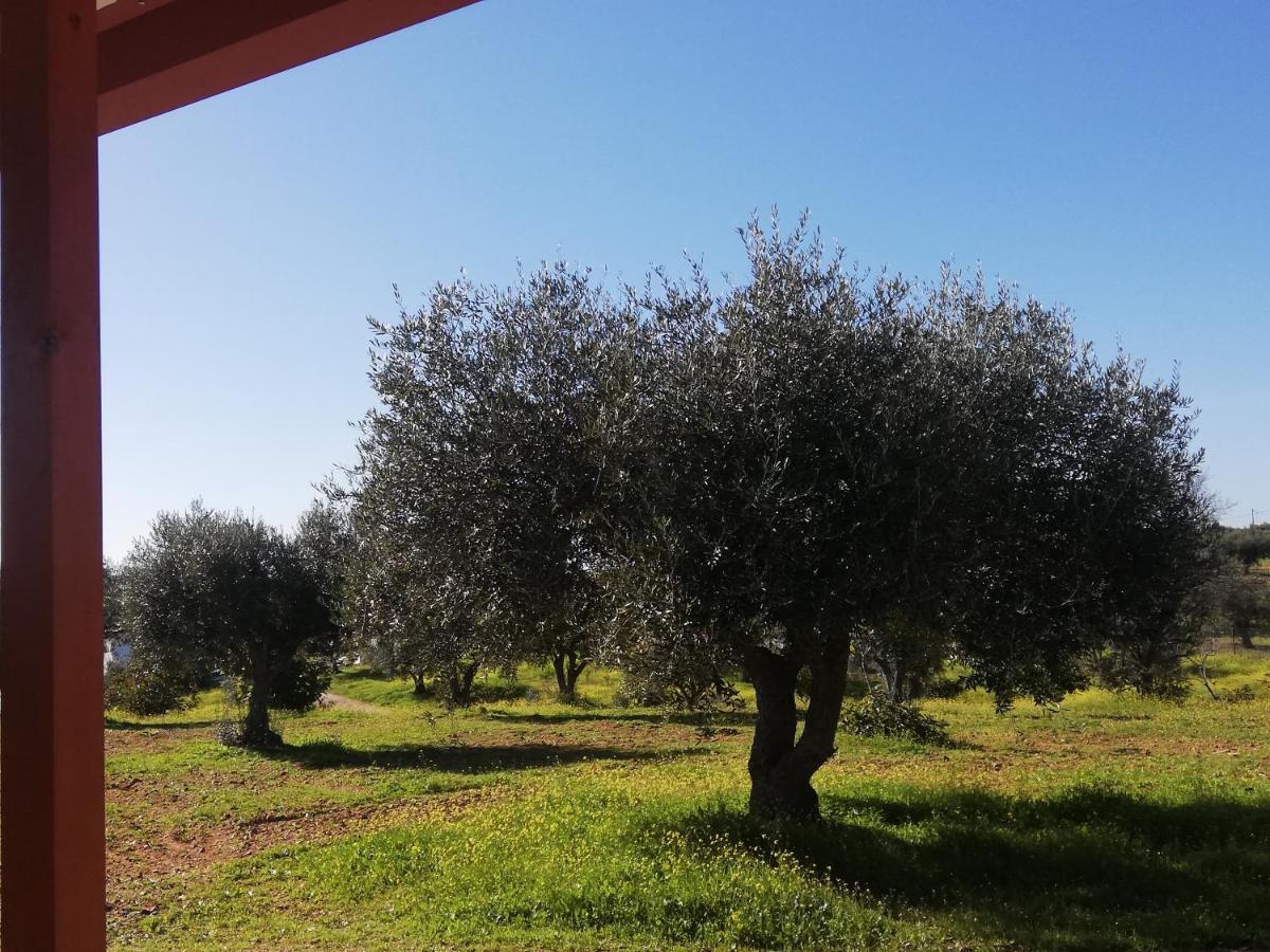 Burrico D'orada - & Experiences *