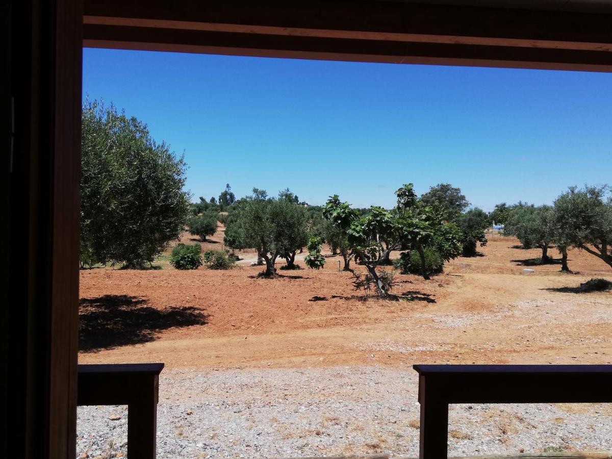 Burrico D'orada - & Experiences Hébergement de vacances Pedrogao (Baixo Alentejo)