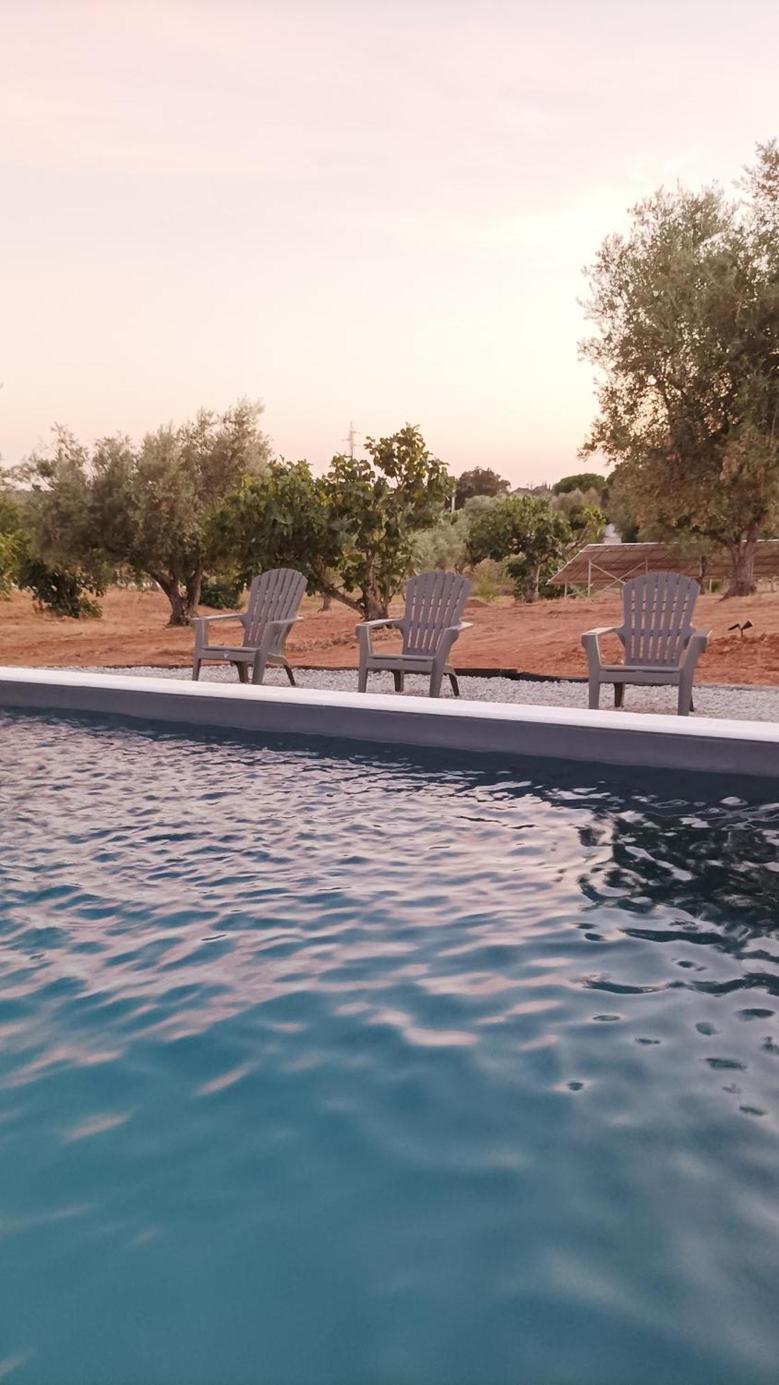 Burrico D'orada - & Experiences *